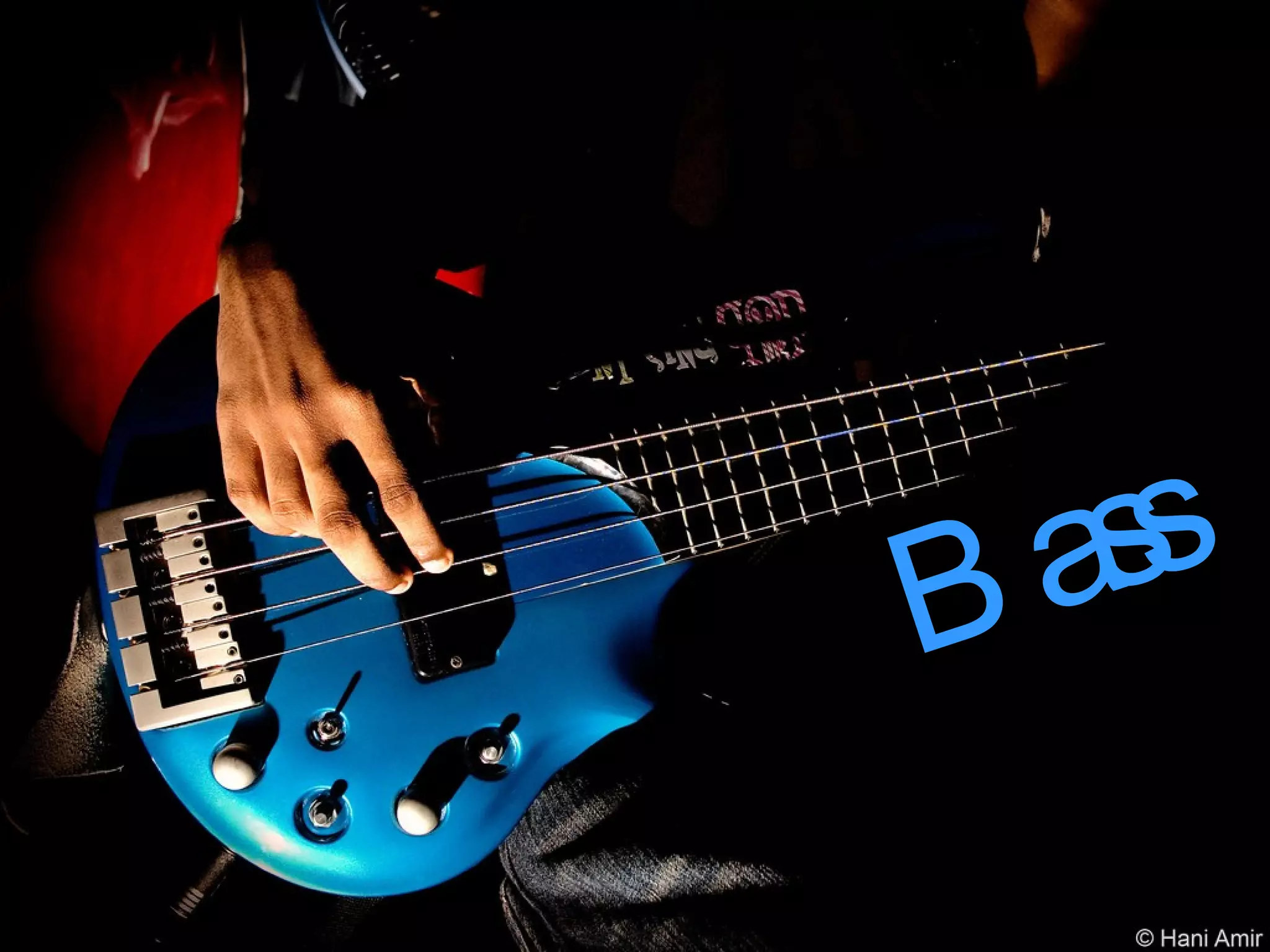 Bass 