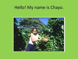 Hello! My name is Chayo.
 