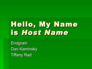 Hello, My Name is  Host Name Endgrain Dan Kaminsky Tiffany Rad 
