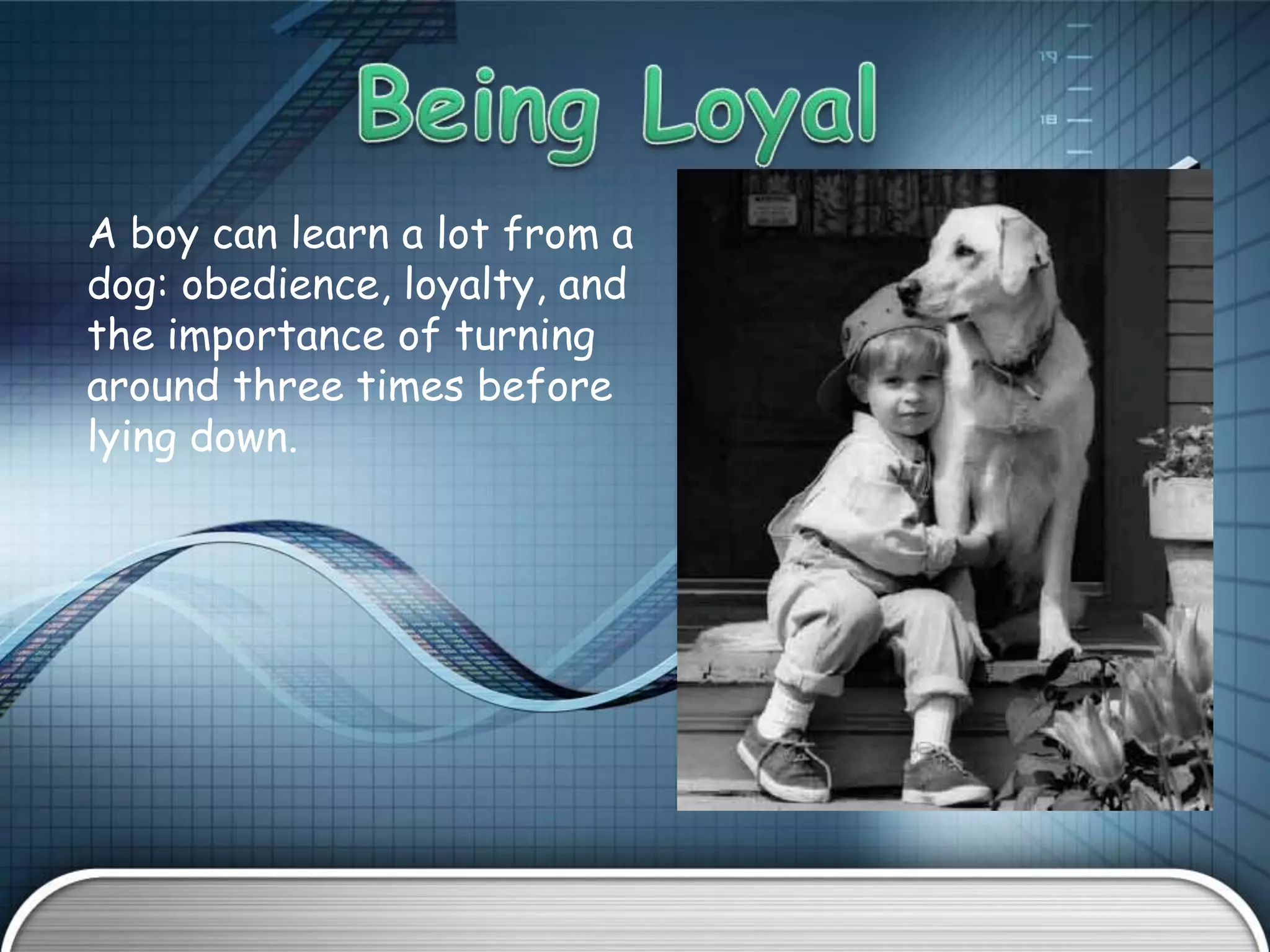 A boy can learn a lot from a
dog: obedience, loyalty, and
the importance of turning
around three times before
lying down.
 