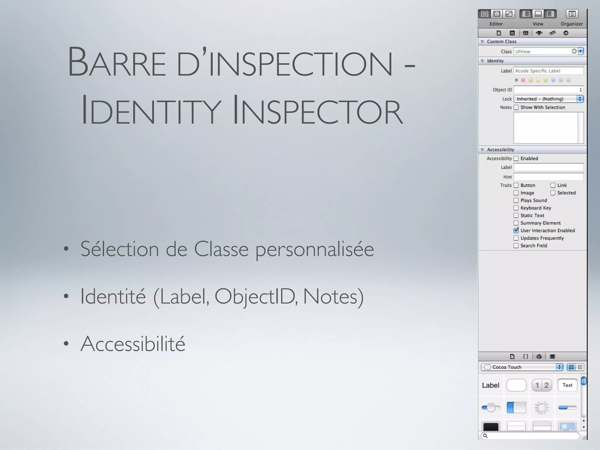 BARRE D’INSPECTION -
 IDENTITY INSPECTOR


•   Sélection de Classe personnalisée

•   Identité (Label, ObjectID, Notes)

•   Accessibilité
 