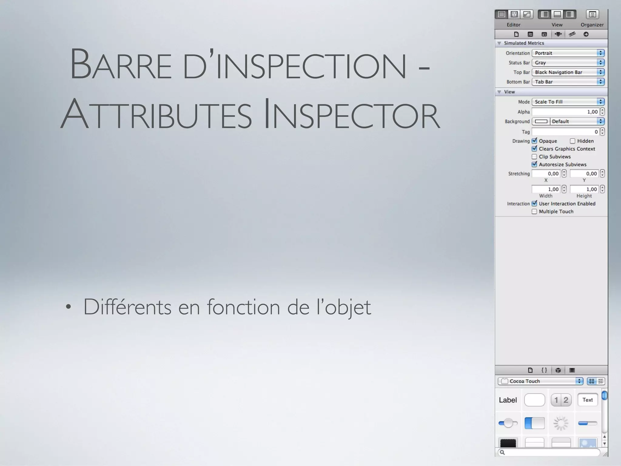 BARRE D’INSPECTION -
ATTRIBUTES INSPECTOR



•   Différents en fonction de l’objet
 