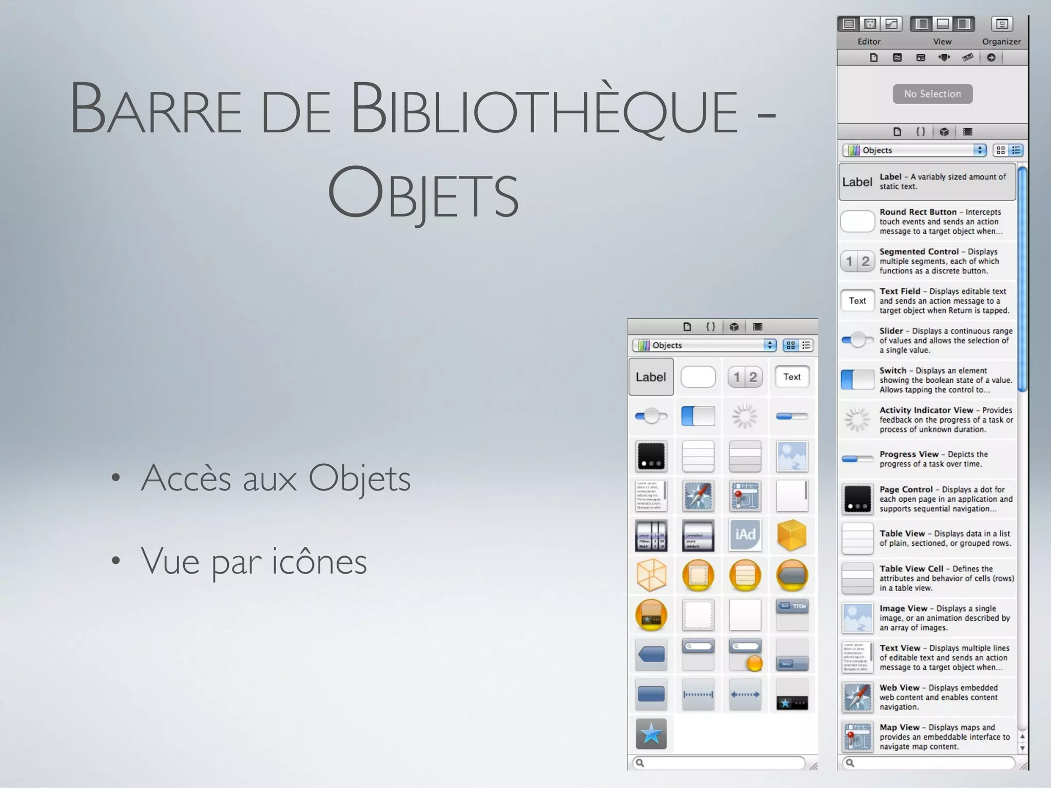 BARRE DE BIBLIOTHÈQUE -
        OBJETS


 •   Accès aux Objets

 •   Vue par icônes
 
