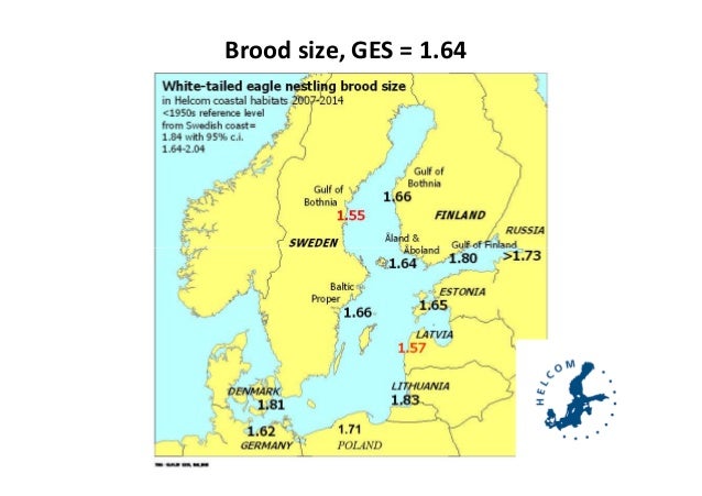 hellström biomonitoring of wte in sweden sweden size