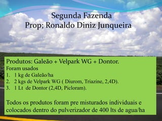 SegundaFazenda	Prop; RonaldoDinizJunqueiraProdutos: Galeão + Velpark WG + Dontor.Foram usados1 kg de Galeão/ha 2 kgs de Velpark WG ( Diurom, Triazine, 2,4D).1 Lt  de Dontor (2,4D, Picloram).Todososprodutosforam pre misturadosindividuais e colocadosdentro do pulverizador de 400 lts de agua/ha