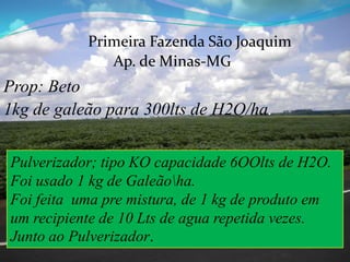 Primeira Fazenda São JoaquimAp. de Minas-MGProp: Beto1kg de galeãopara 300lts de H2O/ha.Pulverizador; tipo KO capacidade 6OOlts de H2O.Foiusado 1 kg de Galeão\ha.Foi feita  uma pre mistura, de 1 kg de produto em um recipiente de 10 Lts de agua repetida vezes. Junto ao Pulverizador.