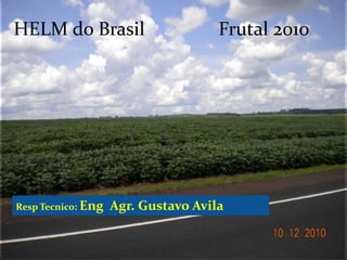 HELM do BrasilFrutal 2010 RespTecnico: EngAgr.Gustavo Avila 
