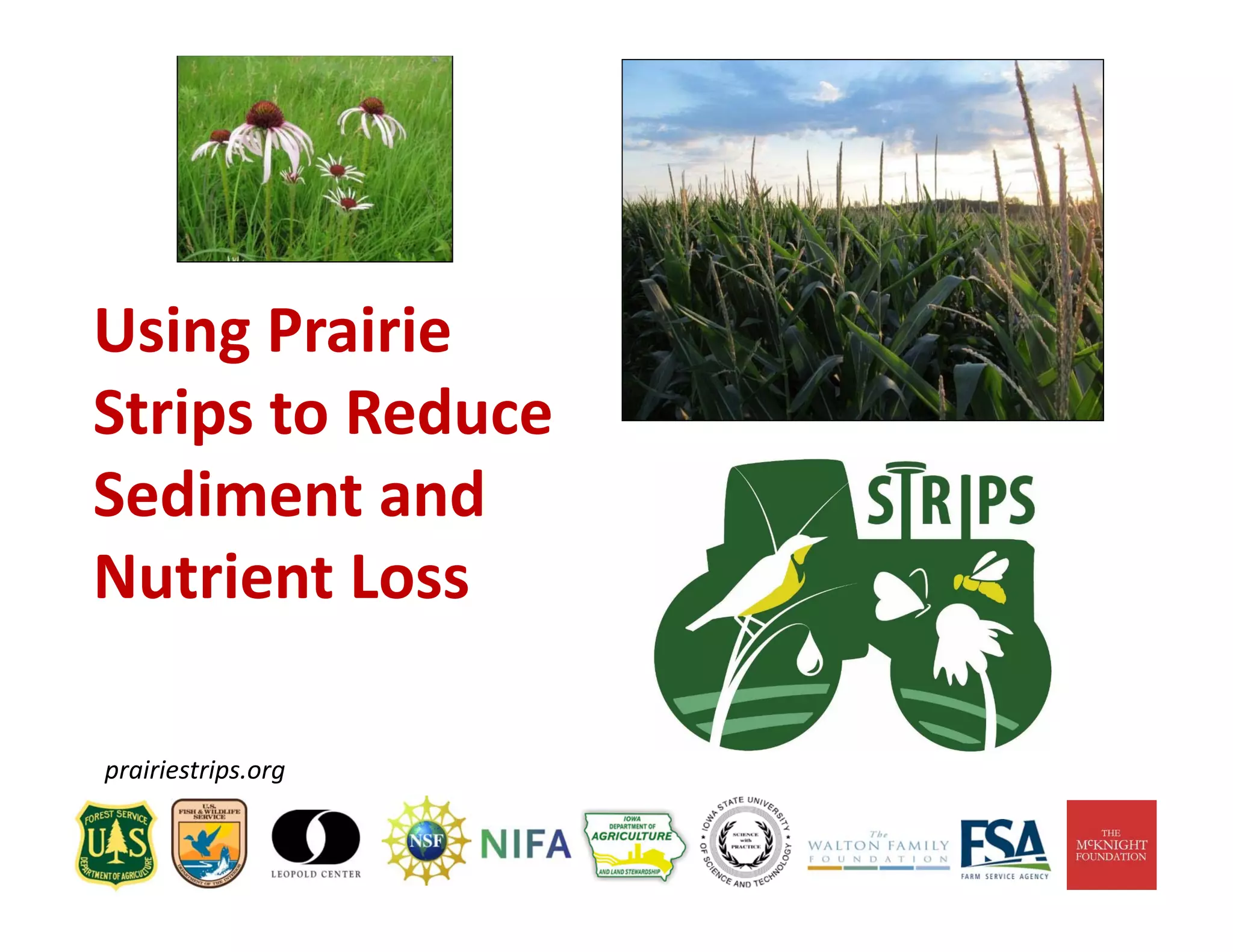 Using Prairie 
Strips to Reduce 
Sediment and 
Nutrient Loss
prairiestrips.org
 