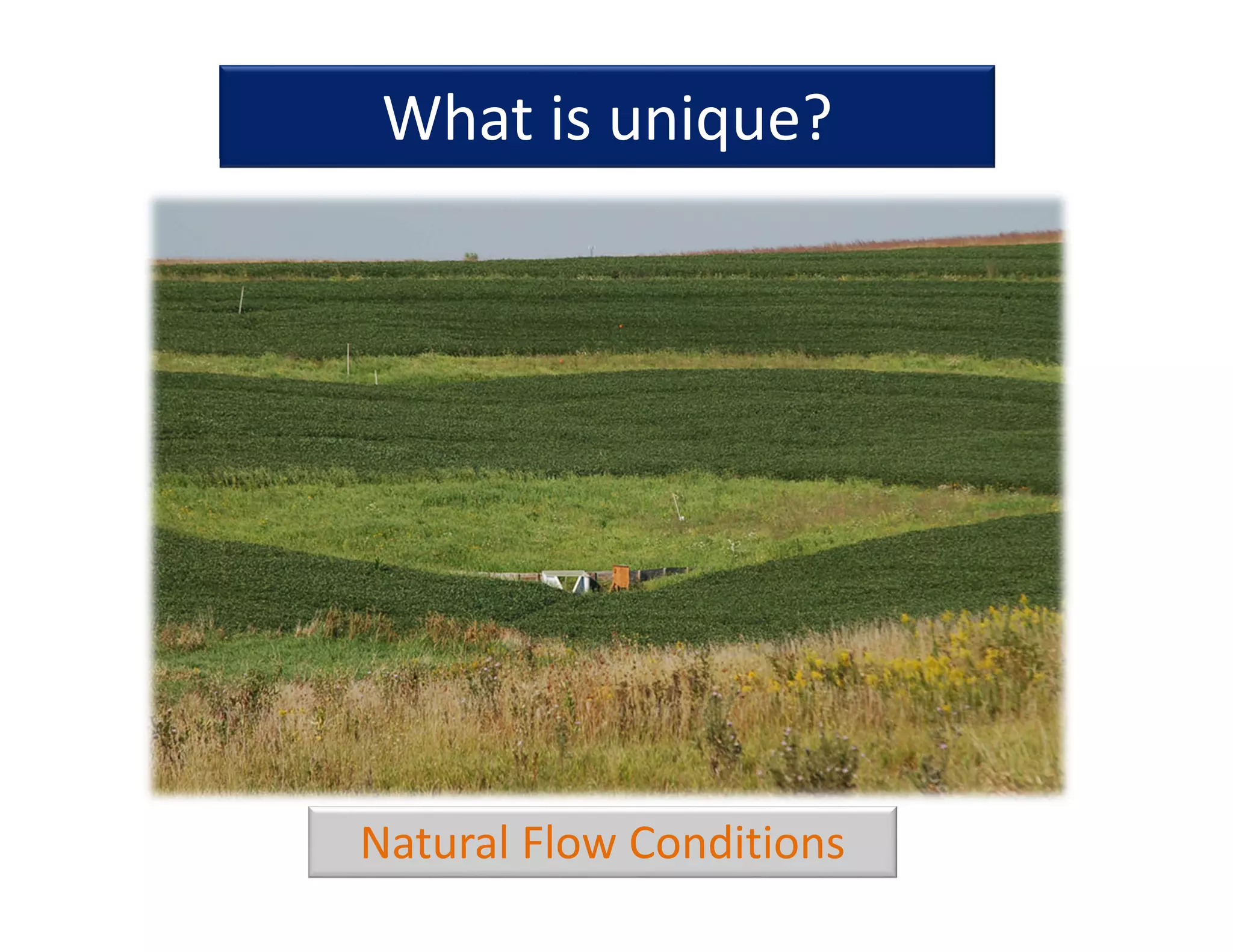 What is unique?
Natural Flow Conditions
 
