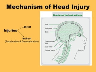 Helmet safety | PPT