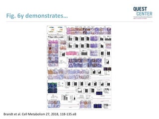 Fig. 6y demonstrates…
Brandt et al. Cell Metabolism 27, 2018, 118-135.e8
 