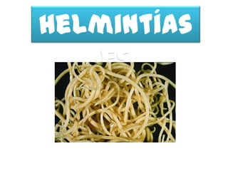 Helmintías
   es
 