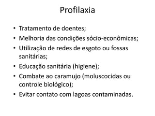 Profilaxia
• Tratamento de doentes;
• Melhoria das condições sócio-econômicas;
• Utilização de redes de esgoto ou fossas
  sanitárias;
• Educação sanitária (higiene);
• Combate ao caramujo (moluscocidas ou
  controle biológico);
• Evitar contato com lagoas contaminadas.
 