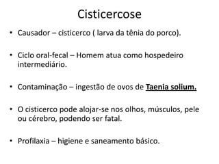 Cisticercose
• Causador – cisticerco ( larva da tênia do porco).

• Ciclo oral-fecal – Homem atua como hospedeiro
  intermediário.

• Contaminação – ingestão de ovos de Taenia solium.

• O cisticerco pode alojar-se nos olhos, músculos, pele
  ou cérebro, podendo ser fatal.

• Profilaxia – higiene e saneamento básico.
 