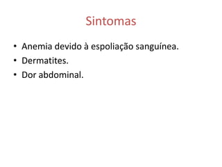 Sintomas
• Anemia devido à espoliação sanguínea.
• Dermatites.
• Dor abdominal.
 