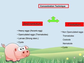 SedimentationSedimentation FloatationFloatation
• Heavy eggs (Ascaris egg)Heavy eggs (Ascaris egg)
• Operculated eggs (Trematodes)Operculated eggs (Trematodes)
• Larvae (Strong sterc.)Larvae (Strong sterc.)
• CystsCysts
• Non Operculated eggs
Trematodes
Cestode
Nematode
• Cysts
Concentration Technique
 