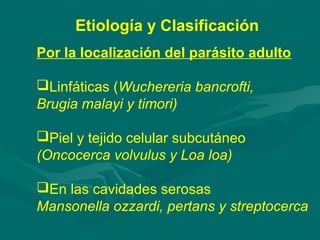 Etiología y Clasificación
Por la localización del parásito adulto

Linfáticas (Wuchereria bancrofti,
Brugia malayi y timori)

Piel y tejido celular subcutáneo
(Oncocerca volvulus y Loa loa)

En las cavidades serosas
Mansonella ozzardi, pertans y streptocerca
 