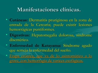 Manifestaciones clínicas.
• Cutáneas: Dermatitis pruriginosa en la zona de
  entrada de la Cercaria; puede existir lesiones
  hemorrágicas puntiformes.
• Digestivas: Hepatomegalia dolorosa, síndrome
  disentérico.
• Enfermedad de Katayama: Síndrome agudo
  que semeja la enfermedad del sueño.
• Etapa crónica, que va de lo asintomático a lo
  grave, con hemorragia de varices esofágicas.
 