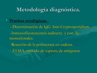 Metodología diagnóstica.
• Pruebas serológicas:
  - Determinación de IgG Anti-Cryptosporidium.
  -Inmunofluorescencia indirecta y con Ac
  monoclonales.
  -Reacción de la polimerasa en cadena.
  - ELISA, método de captura de antigenos.
 