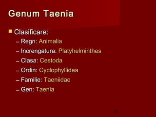 Genum Taenia
 Clasificare:
  – Regn: Animalia
  – Increngatura: Platyhelminthes
  – Clasa: Cestoda
  – Ordin: Cyclophyllidea
  – Familie: Taeniidae
  – Gen: Taenia


                                    15
 
