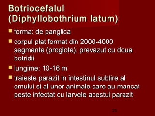 Botriocefalul
(Diphyllobothrium latum)
 forma: de panglica
 corpul plat format din 2000-4000
  segmente (proglote), prevazut cu doua
  botridii
 lungime: 10-16 m
 traieste parazit in intestinul subtire al
  omului si al unor animale care au mancat
  peste infectat cu larvele acestui parazit

                                  25
 