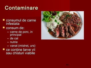 Contaminare

   consumul de carne
    infestata
   consum de:
    – carne de porc, in
      principal
    – de cal
    – nutrie
    – vanat (mistreţ, urs)
   ce conţine larve vii
    sau chisturi viabile


                             40
 