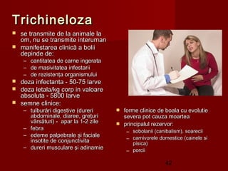 Trichineloza
 se transmite de la animale la
  om, nu se transmite interuman
 manifestarea clinică a bolii
  depinde de:
    –   cantitatea de carne ingerata
    –   de masivitatea infestarii
    –   de rezistenţa organismului
 doza infectanta - 50-75 larve
 doza letala/kg corp in valoare
  absoluta - 5800 larve
 semne clinice:
    – tulburări digestive (dureri       forme clinice de boala cu evolutie
      abdominale, diaree, greţuri        severa pot cauza moartea
      vărsături) - apar la 1-2 zile     principalul rezervor:
    – febra
                                           – sobolanii (canibalism), soarecii
    – edeme palpebrale şi faciale
      insotite de conjunctivita            – carnivorele domestice (cainele si
                                             pisica)
    – dureri musculare şi adinamie
                                           – porcii

                                                           42
 