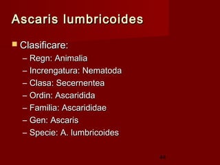 Ascaris lumbricoides
 Clasificare:
  –   Regn: Animalia
  –   Increngatura: Nematoda
  –   Clasa: Secernentea
  –   Ordin: Ascaridida
  –   Familia: Ascarididae
  –   Gen: Ascaris
  –   Specie: A. lumbricoides

                                44
 