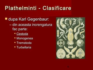 Plathelminti - Clasificare
 dupa Karl Gegenbaur:
  – din aceasta increngatura
    fac parte:
     Cestoda
     Monogenea
     Trematoda
     Turbellaria




                               6
 
