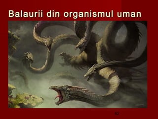 Balaurii din organismul uman




                      62
 