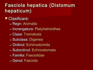 Fasciola hepatica (Distomum
hepaticum)
 Clasificare:
  –   Regn: Animalia
  –   Increngatura: Platyhelminthes
  –   Clasa: Trematoda
  –   Subclasa: Digenea
  –   Ordinul: Echinostomida
  –   Subordinul: Echinostomata
  –   Familia: Fasciolidae
  –   Genul: Fasciola
                                      7
 