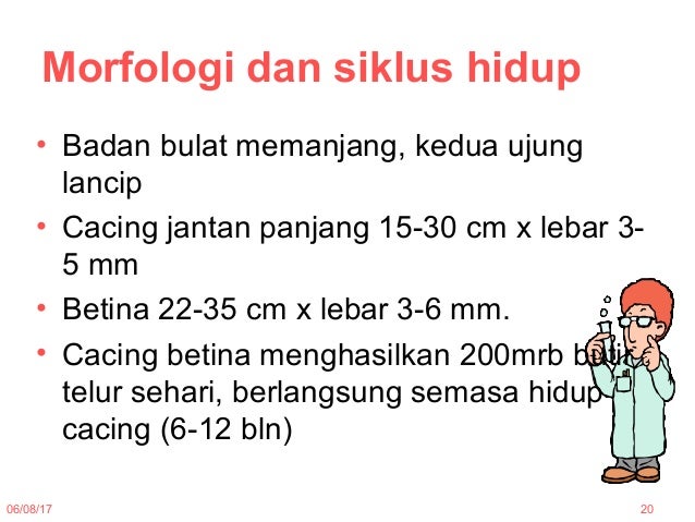 Helmintologi Tm8