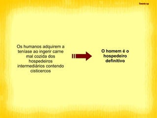 Os humanos adquirem a teníase ao ingerir carne mal cozida dos hospedeiros intermediários contendo cisticercos O homem é o hospedeiro definitivo Taenia  sp 
