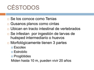 CÉSTODOS
 Se los conoce como Tenias
 Gusanos planos como cintas
 Ubican en tracto intestinal de vertebrados
 Se infestan por ingestión de larvas de
huésped intermediario o huevos
 Morfológicamente tienen 3 partes
 Escolex
 Estrobilo
 Proglótides
Miden hasta 10 m, pueden vivir 20 años
 