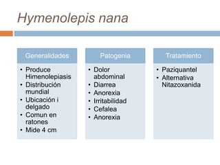 Hymenolepis nana
Generalidades
• Produce
Himenolepiasis
• Distribución
mundial
• Ubicación i
delgado
• Comun en
ratones
• Mide 4 cm
Patogenia
• Dolor
abdominal
• Diarrea
• Anorexia
• Irritabilidad
• Cefalea
• Anorexia
Tratamiento
• Paziquantel
• Alternativa
Nitazoxanida
 