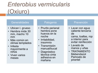 Enterobius vermicularis
(Oxiuro)
Generalidades
• Ubican I. grueso
• Hembra mide 30
mm, macho 10
mm
• Más común en
climas templados
• Infesta
mayormente a
niños
• Viven varios
meses
Patogenia
• Prurito perianal
hembra pone
huevos en la
noche
• Irritabilidad,
insomnio
• Transmisión
manual/bucal
• Diagnóstico
técnica cinta
adhesiva en
mañana
Prevención
• Lavar con agua
caliente lencería
de
cama, toallas, rop
a interior para
evitar reinfección
• Lavado de
manos y uñas
• TRATAMIENTO
Mebendazol
Pamoato de
pirantel
 