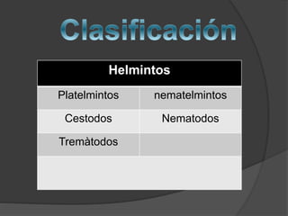 Helmintos 
Platelmintos nematelmintos 
Cestodos Nematodos 
Tremàtodos 
 