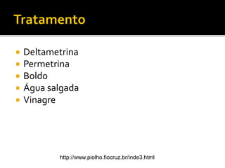  Deltametrina
 Permetrina
 Boldo
 Água salgada
 Vinagre
http://www.piolho.fiocruz.br/inde3.html
 