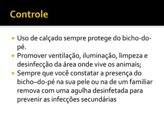  Uso de calçado sempre protege do bicho-do-
pé.
 Promover ventilação, iluminação, limpeza e
desinfecção da área onde vive os animais;
 Sempre que você constatar a presença do
bicho–do-pé na sua pele ou na de um familiar
remova com uma agulha desinfetada para
prevenir as infecções secundárias
 