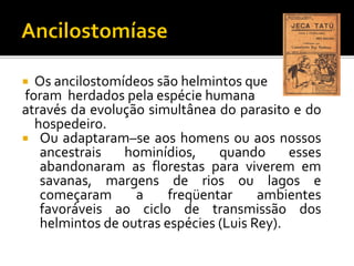  Os ancilostomídeos são helmintos que
foram herdados pela espécie humana
através da evolução simultânea do parasito e do
hospedeiro.
 Ou adaptaram–se aos homens ou aos nossos
ancestrais hominídios, quando esses
abandonaram as florestas para viverem em
savanas, margens de rios ou lagos e
começaram a freqüentar ambientes
favoráveis ao ciclo de transmissão dos
helmintos de outras espécies (Luis Rey).
 