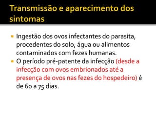  Ingestão dos ovos infectantes do parasita,
procedentes do solo, água ou alimentos
contaminados com fezes humanas.
 O período pré-patente da infecção (desde a
infecção com ovos embrionados até a
presença de ovos nas fezes do hospedeiro) é
de 60 a 75 dias.
 