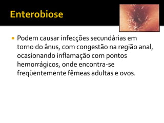  Podem causar infecções secundárias em
torno do ânus, com congestão na região anal,
ocasionando inflamação com pontos
hemorrágicos, onde encontra-se
freqüentemente fêmeas adultas e ovos.
 