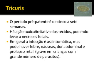  O período pré-patente é de cinco a sete
semanas.
 Há ação tóxica/irritativa dos tecidos, podendo
levar a necroses focais.
 Em geral a infecção é assintomática, mas
pode haver febre, náuseas, dor abdominal e
prolapso retal (grave em crianças com
grande número de parasitos).
 