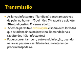  As larvas infectantes (filarióides) penetram através
da pele, no homem pulmões traquéia e epiglote
trato digestivo  verme adulto.
 A fêmea parasita é ovovivípara e libera ovos larvados
que eclodem ainda no intestino, liberando larvas
rabditóides (não-infectantes)
 Pode ocorrer, também, auto-endoinfecção, quando
as larvas passam a ser filarióides, no interior do
próprio hospedeiro.
 