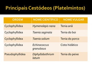 ORDEM NOME CIENTÍFICO NOMEVULGAR
Cyclophyllidea Hymenolepis nana Tenia anã
Cyclophyllidea Taenia saginata Tenia do boi
Cyclophyllidea Taenia solium Tenia do porco
Cyclophyllidea Echinococcus
granulosus
Cisto hidático
Pseudophyllidea Diphyllobothrium
latum
Tenia do peixe
 