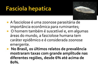  A fasciolose é uma zoonose parasitária de
importância econômica para ruminantes;
 O homem também é suscetível e, em algumas
áreas do mundo, a fasciolose humana tem
caráter epidêmico e é considerada zoonose
emergente.
 No Brasil, os últimos relatos de prevalência
mostraram taxas com grande amplitude nas
diferentes regiões, desde 6% até acima de
80%.
 