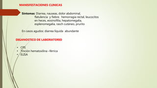 MANISFESTACIONES CLINICAS
Síntomas: Diarrea, nauseas, dolor abdominal,
flatulencia y fiebre. hemorragia rectal, leucocitos
en heces, eosinofilia, hepatomegalia,
esplenomegalia, rasch cutáneo, prurito
En casos agudos: diarrea líquida abundante
DIGANOSTICO DE LABORATORIO
• CPS
• Tinción hematoxilina –férrica
• ELISA
 