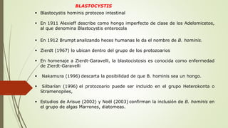  Blastocystis hominis protozoo intestinal
 En 1911 Alexieff describe como hongo imperfecto de clase de los Adelomicetos,
al que denomina Blastocystis enterocola
 En 1912 Brumpt analizando heces humanas le da el nombre de B. hominis.
 Zierdt (1967) lo ubican dentro del grupo de los protozoarios
 En homenaje a Zierdt-Garavelli, la blastocistosis es conocida como enfermedad
de Zierdt-Garavelli
 Nakamura (1996) descarta la posibilidad de que B. hominis sea un hongo.
 Silbarían (1996) el protozoario puede ser incluido en el grupo Heterokonta o
Stramenopiles,
 Estudios de Arisue (2002) y Noël (2003) confirman la inclusión de B. hominis en
el grupo de algas Marrones, diatomeas.
BLASTOCYSTIS
 