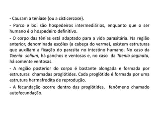 - Causam a teníase (ou a cisticercose).
- Porco e boi são hospedeiros intermediários, enquanto que o ser
humano é o hospedeiro definitivo.
- O corpo das tênias está adaptado para a vida parasitária. Na região
anterior, denominada escólex (a cabeça do verme), existem estruturas
que auxiliam a fixação do parasita no intestino humano. No caso da
Taenia solium, há ganchos e ventosas e, no caso da Taenia saginata,
há somente ventosas.
- A região posterior do corpo é bastante alongada e formada por
estruturas chamadas proglótides. Cada proglótide é formada por uma
estrutura hermafrodita de reprodução.
- A fecundação ocorre dentro das proglótides, fenômeno chamado
autofecundação.
 