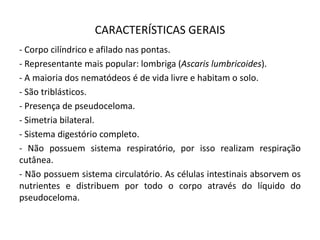 CARACTERÍSTICAS GERAIS
- Corpo cilíndrico e afilado nas pontas.
- Representante mais popular: lombriga (Ascaris lumbricoides).
- A maioria dos nematódeos é de vida livre e habitam o solo.
- São triblásticos.
- Presença de pseudoceloma.
- Simetria bilateral.
- Sistema digestório completo.
- Não possuem sistema respiratório, por isso realizam respiração
cutânea.
- Não possuem sistema circulatório. As células intestinais absorvem os
nutrientes e distribuem por todo o corpo através do líquido do
pseudoceloma.
 